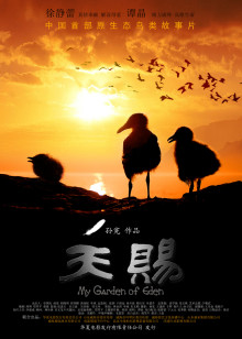 桃花影院免费高清